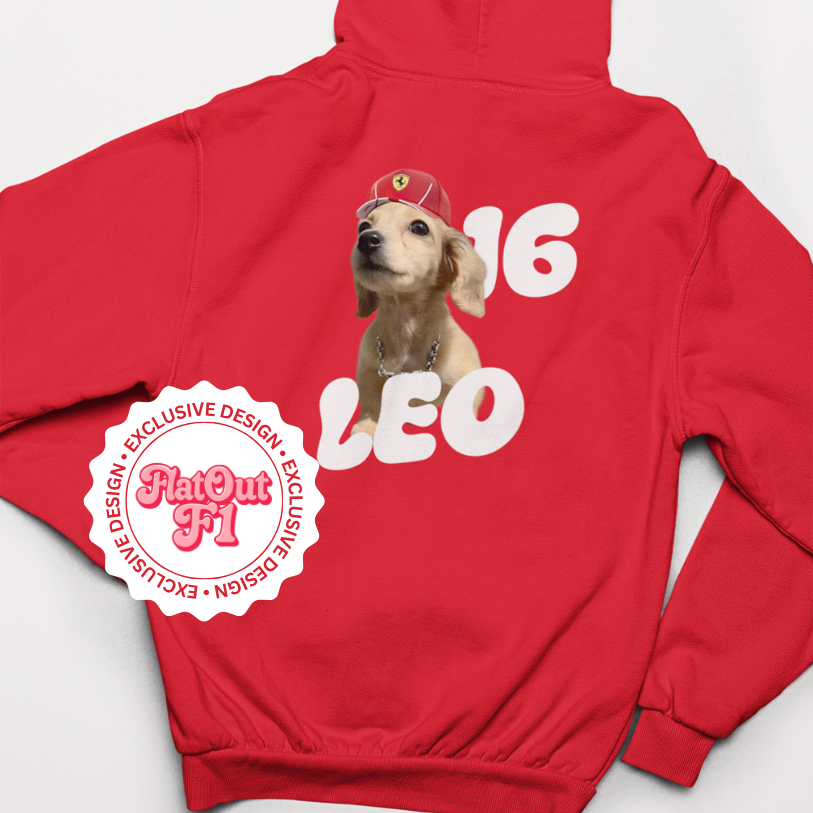 Leo | Hoodie